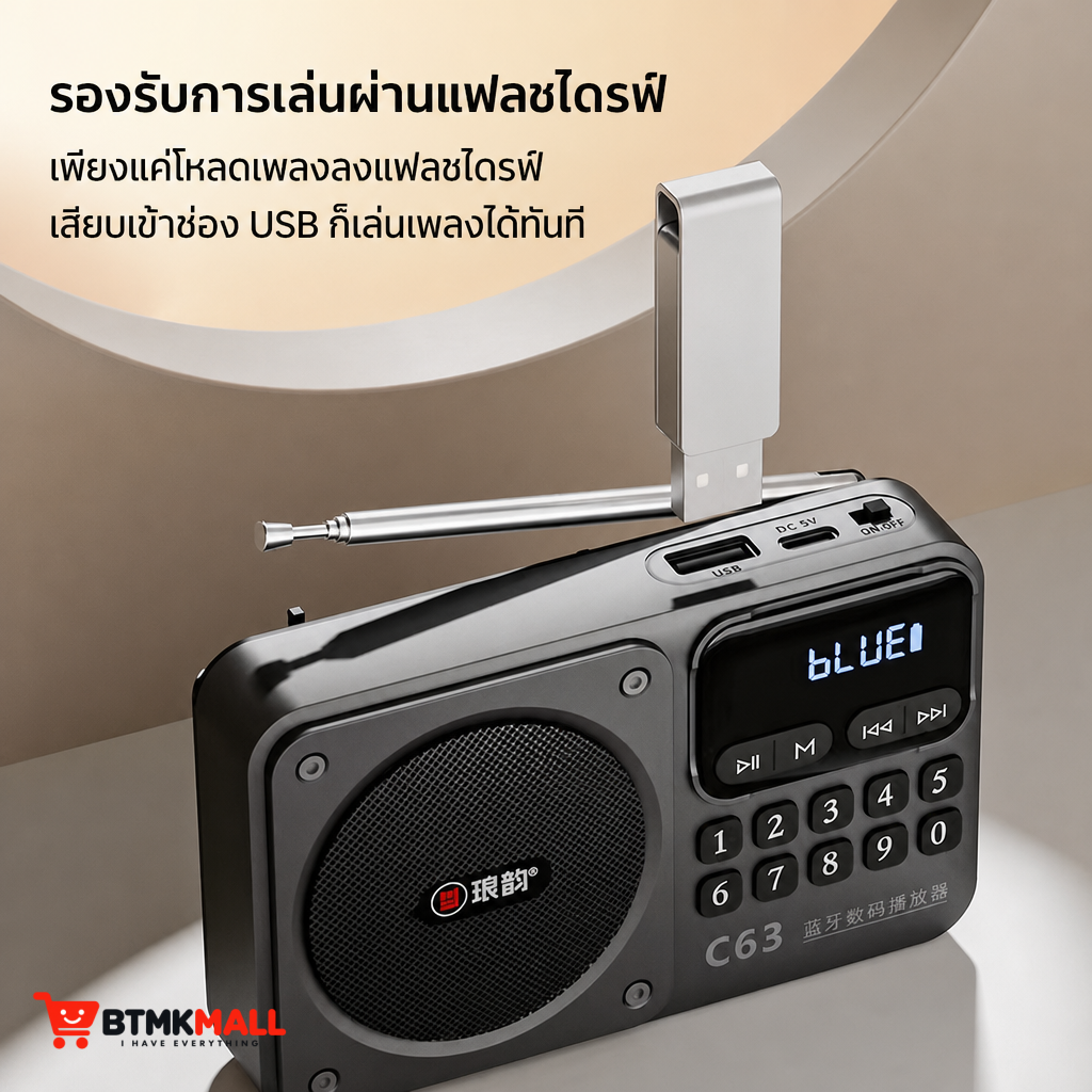 วิทยุ Langyun รุ่น C63s เครื่องเล่นเพลงดิจิทัลพกพา รองรับบลูทูธและเสียบแฟลชไดรฟ์ได้